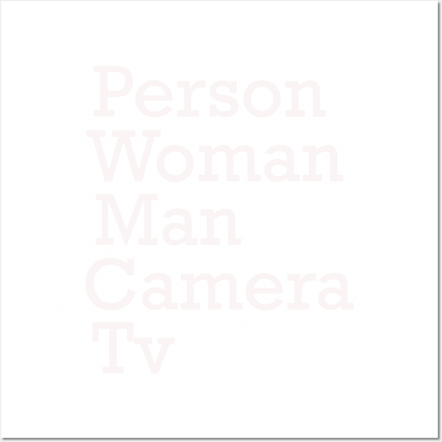 Person Woman Man Camera TV Wall Art by MariaB